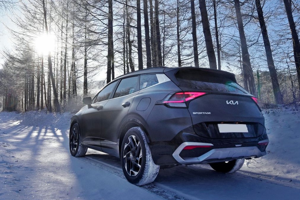 Kia Wintercheck
